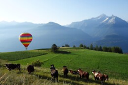 Charbonnier Mongolfiere