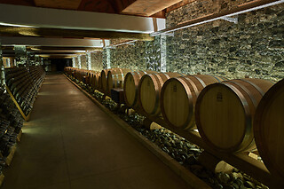 Visita della cantina e degustazione presso Bisson a Sestri Levante
