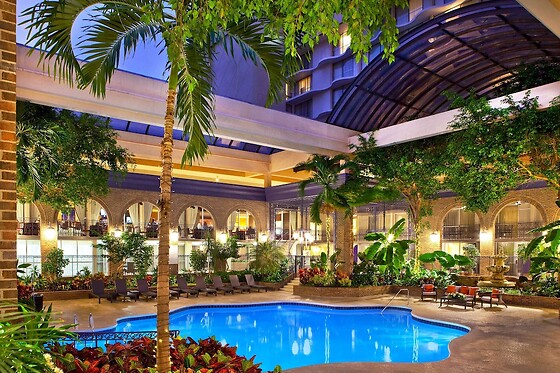 Online Booking EPS - photo 0