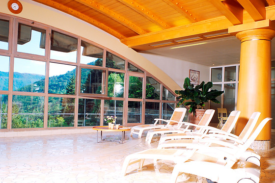 Le Logis Cévenol & Spa Thermal de Saint Laurent - photo 5