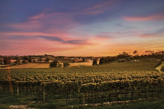 Cantina Bertagna - photo 4