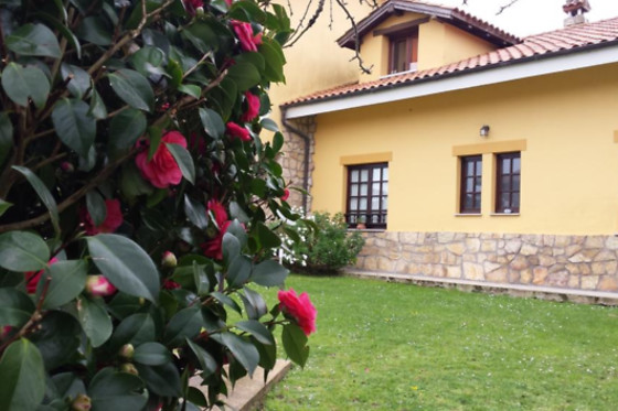 APARTAMENTO  RURAL LA FRAGUA DEL CANAJAL - photo 6