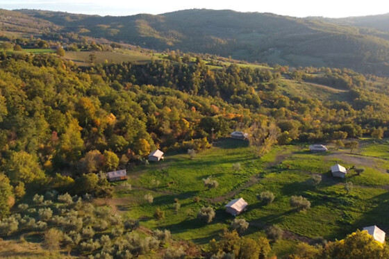 Tenuta San Lodovico - photo 5