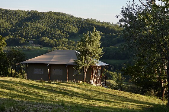 Tenuta San Lodovico - photo 11