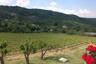 Soggiorno enogastronomico di una notte con degustazione e visita della cantina presso Bed & Wine Rocco Zambri in provincia di Foggia
