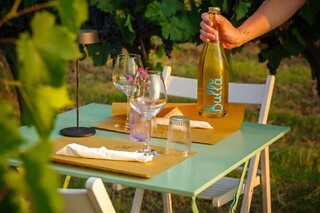 Visita alla cantina e ai vigneti con degustazione di vino presso La fonte di Bevagna in provincia di Perugia