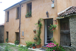 B&B Nelly G