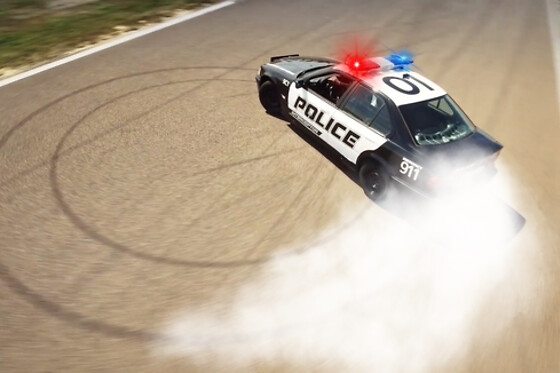 Stunt Guys - photo 8