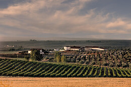 HERDADE PAÇO DO CONDE