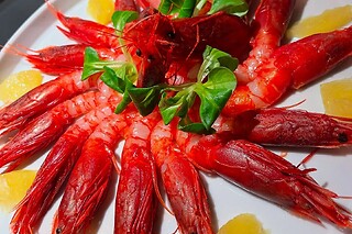 Gustosa cena da due portate al Relais Casina Copini in provincia di Lecce