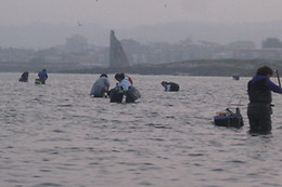 ASOC. CULT. MULLERES DO MAR DE CAMBADOS GUIMATUR (GUIMATUR)