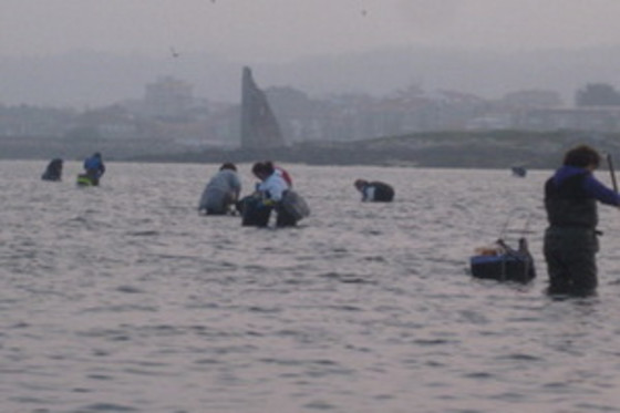 ASOC. CULT. MULLERES DO MAR DE CAMBADOS GUIMATUR (GUIMATUR) - photo 5