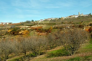 Soggiorno in famiglia all'Agriturismo Al Brich in provincia di Vicenza