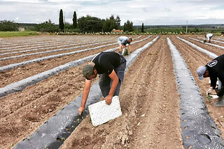 Visita guidata con degustazione finale presso l'Azienda Agricola Colle di Seta in provincia di Bari