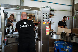 Vini Federici