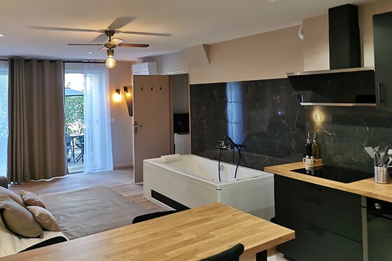 Appart Hotel Spa Perpignan - photo 8