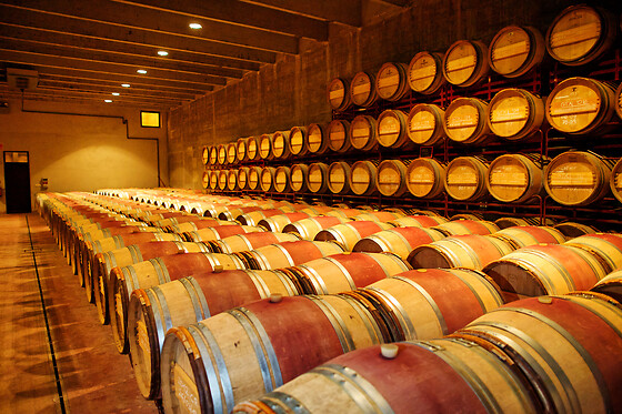 BODEGA MAS LLUNES - photo 5