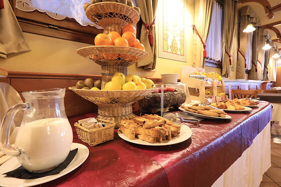 Swadeshi Club Hotels - photo 6