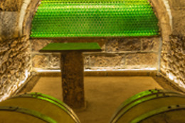 BODEGAS TRITIUM