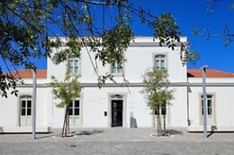 FLUVIÁRIO DE MORA