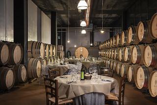 Visita alla cantina con degustazione di vini e prodotti locali e bottiglia in omaggio all'Azienda Agricola Palagetto in provincia di Siena