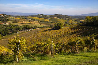 Visita alla cantina con degustazione di vini e prodotti locali e bottiglia in omaggio all'Azienda Agricola Palagetto in provincia di Siena