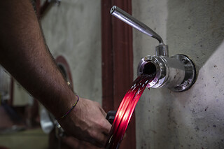 Visita alla cantina con degustazione di vini e prodotti locali e bottiglia in omaggio all'Azienda Agricola Palagetto in provincia di Siena