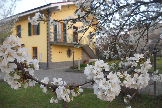 B&B Pervinca - photo 0