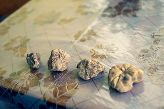 Truffle Hunting Experience tra i boschi del Piemonte