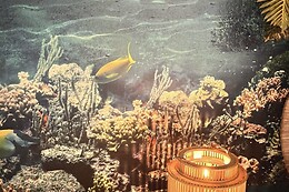 UniverSpa