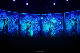 Cabaret Ovation