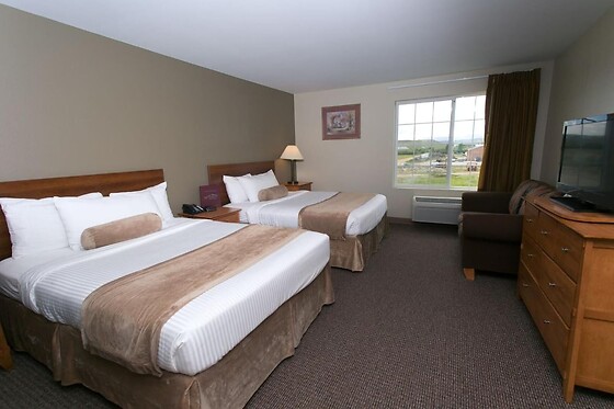 Online Booking EPS - photo 1
