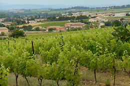 Domaine les Maillols