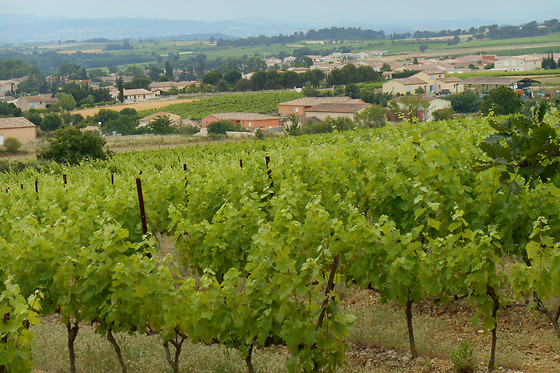 Domaine les Maillols - photo 1