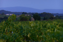 Domaine les Maillols