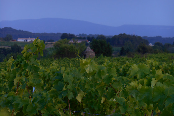 Domaine les Maillols - photo 3