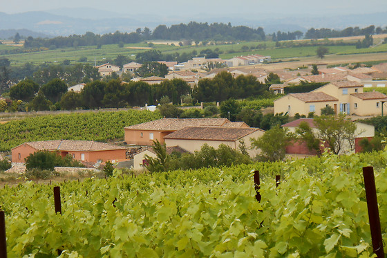 Domaine les Maillols - photo 4