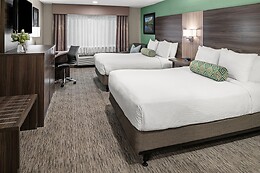 Online Booking EPS