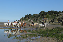 Centre Hippique de la Mer