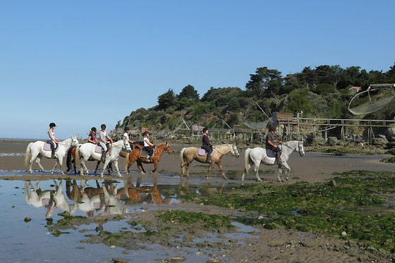 Centre Hippique de la Mer - photo 0