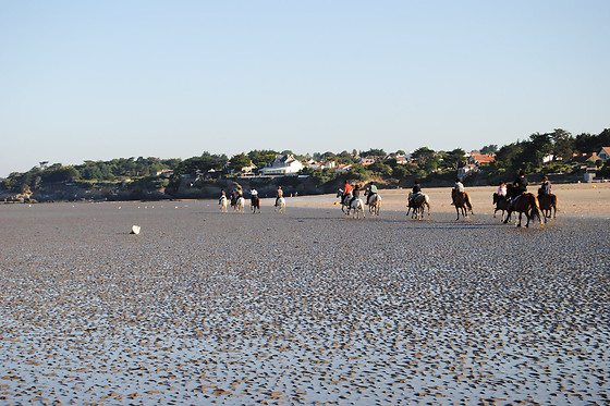 Centre Hippique de la Mer - photo 1