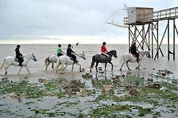 Centre Hippique de la Mer
