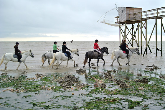 Centre Hippique de la Mer - photo 2