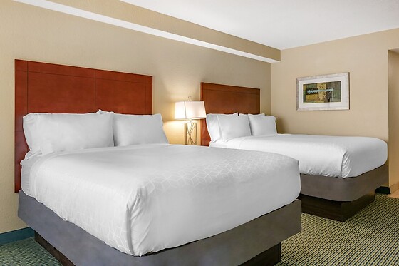 Online Booking EPS - photo 1