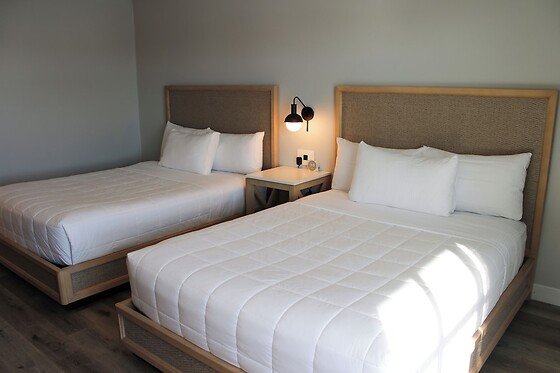 Online Booking EPS - photo 2