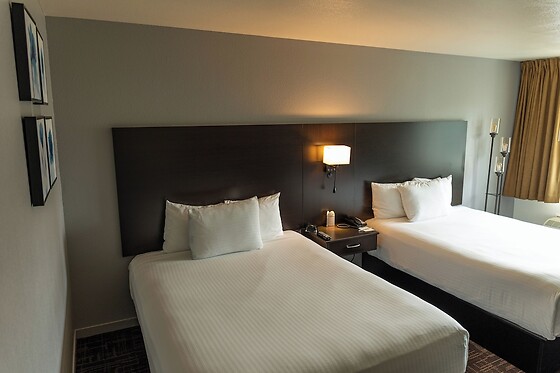 Online Booking EPS - photo 4