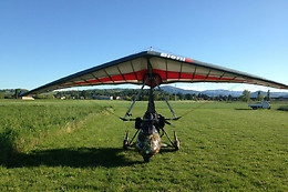 Flying Fox