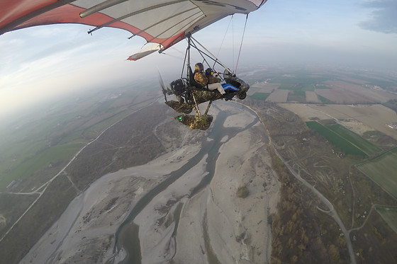 Flying Fox - photo 2