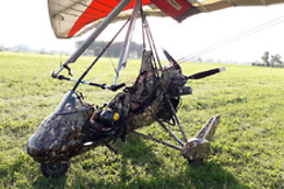 Flying Fox