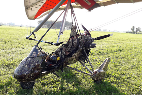 Flying Fox - photo 4